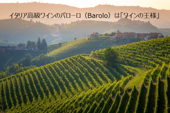 イタリア高級ワインのバローロ（Barolo）は「ワインの王様」