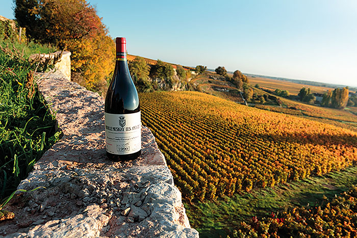 シャンボール ミュジニーのワインとは 北と南で特徴が異なる アカデミー デュ ヴァン ブログ