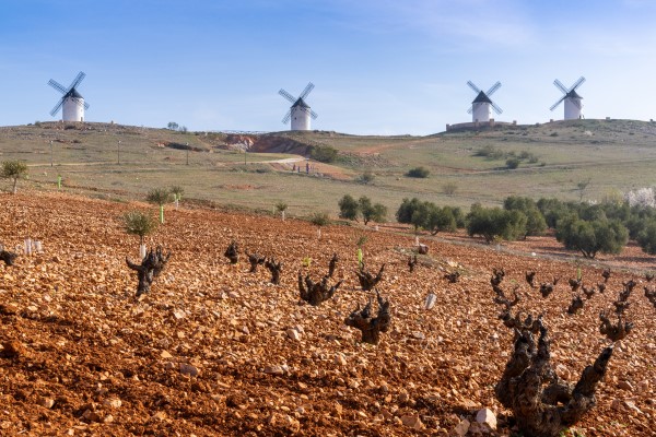 ラ・マンチャの風車とブドウ畑